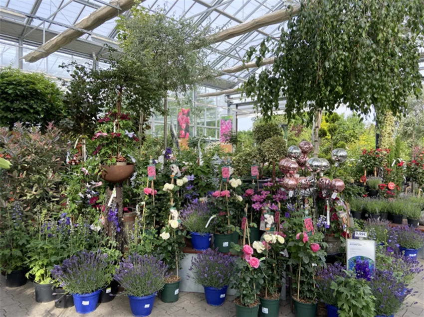 Alles für Ihren Traumgarten Gartenwelt Dauchenbeck
