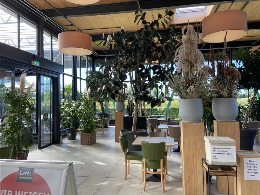 Café Stein Gartenwelt Dauchenbeck