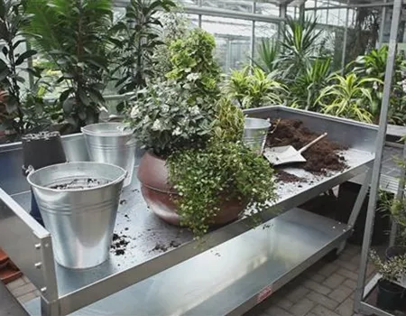 Blumenkübel - Dauerhafte Bepflanzung