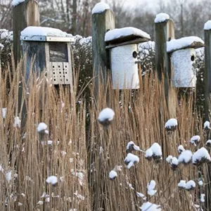 WEIHNACHTLICHE STIMMUNG IM GARTEN WEIHNACHTLICHE STIMMUNG IM GARTEN