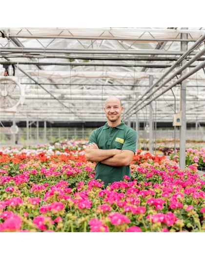 Kostenlose Gärtnereiführung 