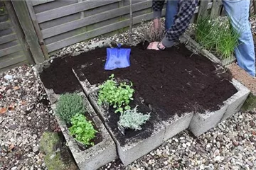 Kräuter - Einsetzen in Pflanzsteine Kräuter - Einsetzen in Pflanzsteine