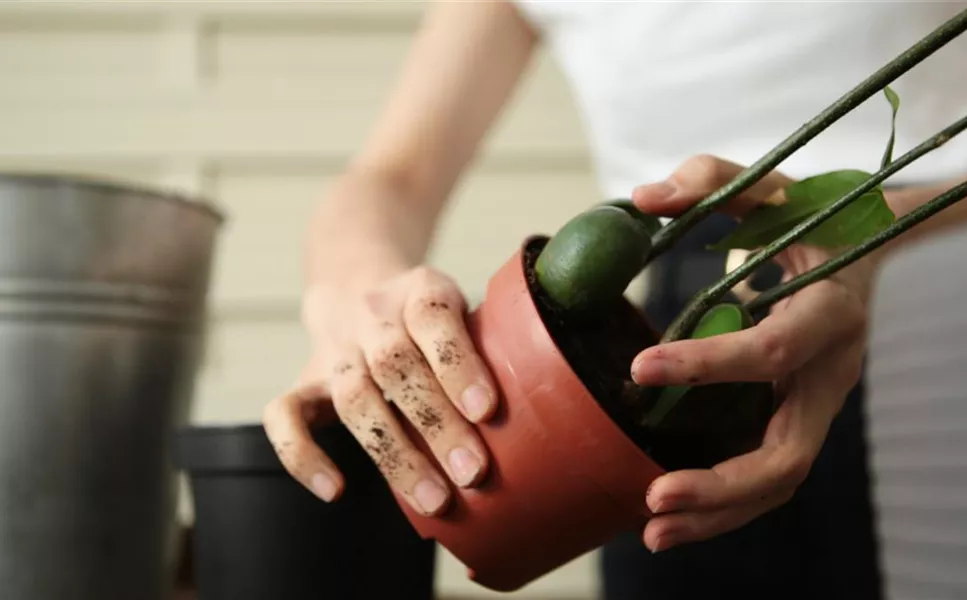 Praxis-Tipps - Nützliche Tipps und Tricks!