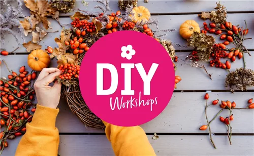 Workshop 14.10.2023 - 10.00 Uhr 