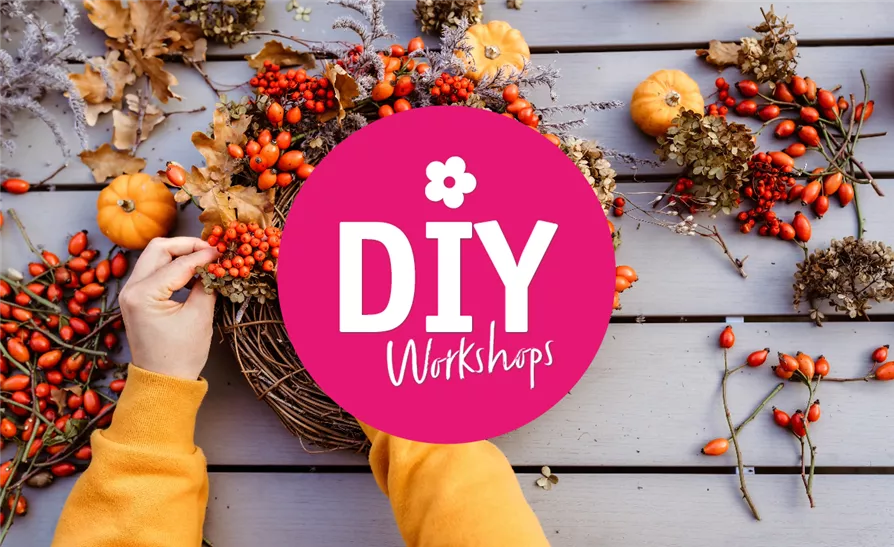 Workshop 14.10.2023 - 10.00 Uhr 