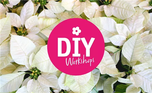 Workshop 16.12.2023 - 14.00 Uhr