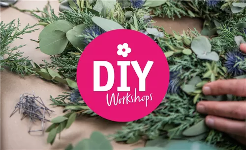 Workshop 18.11.2023 - 10.00 Uhr 