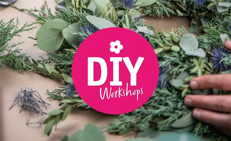 Workshop 18.11.2023 - 10.00 Uhr 