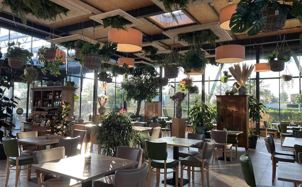 Herzlich Willkommen! - In unserem Gartenwelt Café in Stein Herzlich Willkommen! - In unserem Gartenwelt Café in Stein