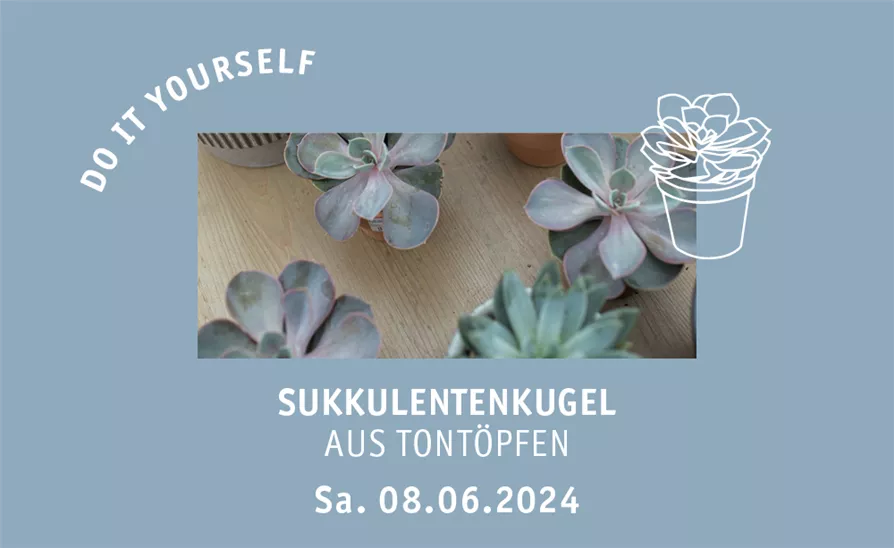 Workshop 08.06.2024 - 14:00