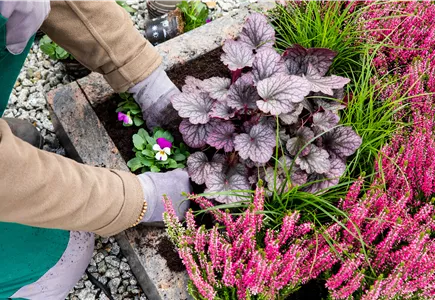 Grabbepflanzung Grabbepflanzung