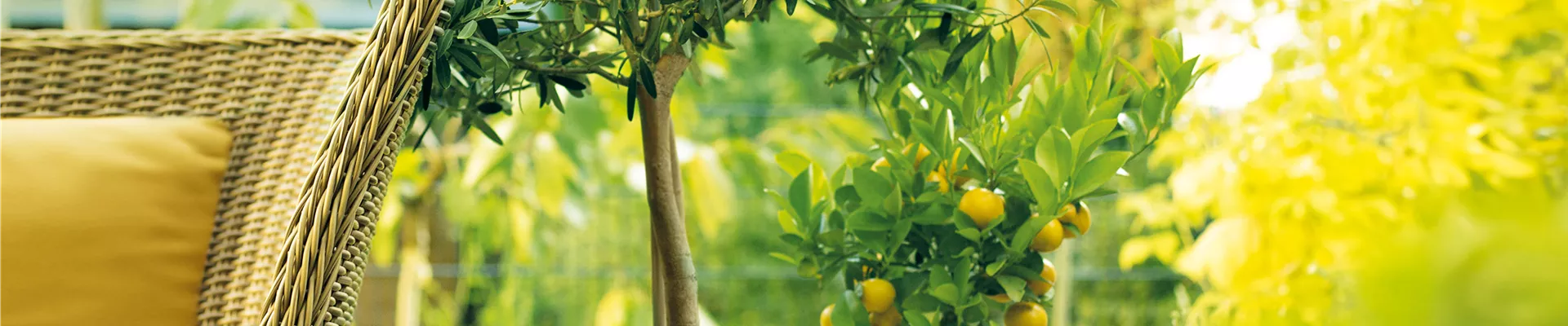 GARTEN DES SüDENS! 