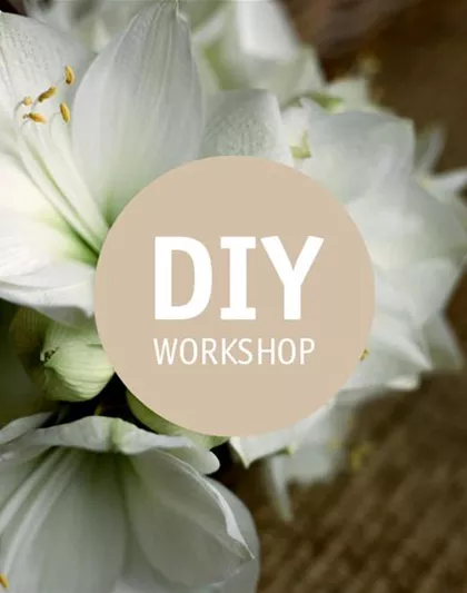 Weihnachten wird festlich!  Weihnachten wird festlich!