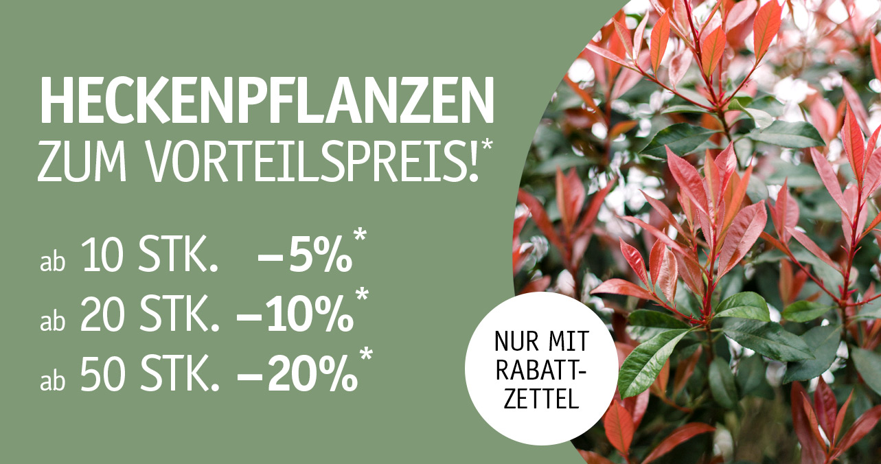 Teaser_Rabatt-Baumschule3.jpg Teaser_Rabatt-Baumschule3.jpg