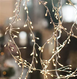 HeadgrafikenHuettenzeitjpg.jpg HeadgrafikenHuettenzeitjpg.jpg