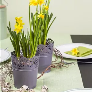 DAS GARTENPARADIES FüR OSTERHASEN DAS GARTENPARADIES FüR OSTERHASEN