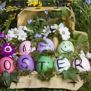 DAS GARTENPARADIES FüR OSTERHASEN DAS GARTENPARADIES FüR OSTERHASEN