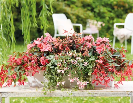 IM TREND: BALKON!