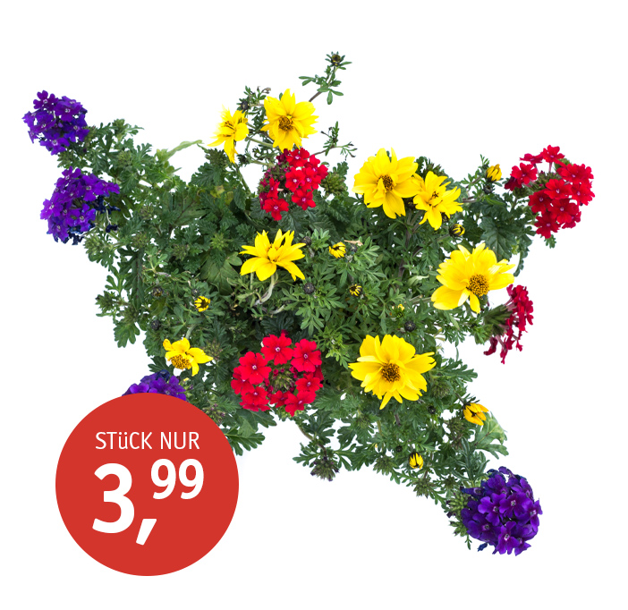Angebot_KW17_Mix.jpg