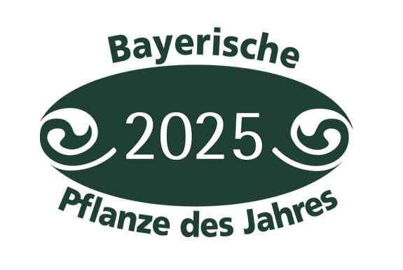 pdj-2025-Logo.jpg