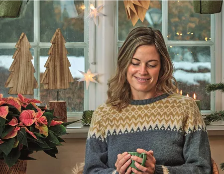 WEIHNACHTEN BEGINNT ZUHAUSE!