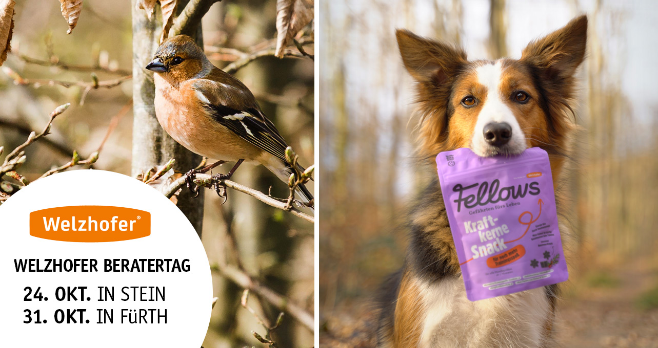 Teaser_Welzhofer-Beratertag.jpg Teaser_Welzhofer-Beratertag.jpg