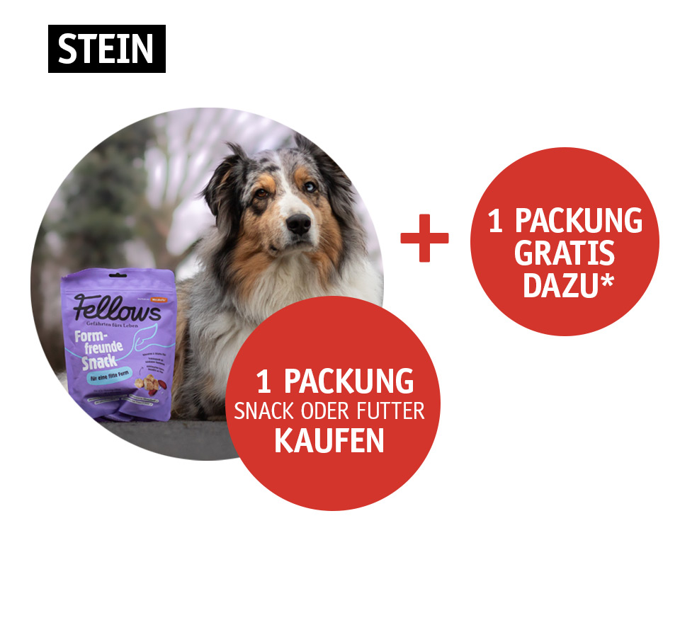 Fellow-Gratisaktion-Stein.jpg Fellow-Gratisaktion-Stein.jpg