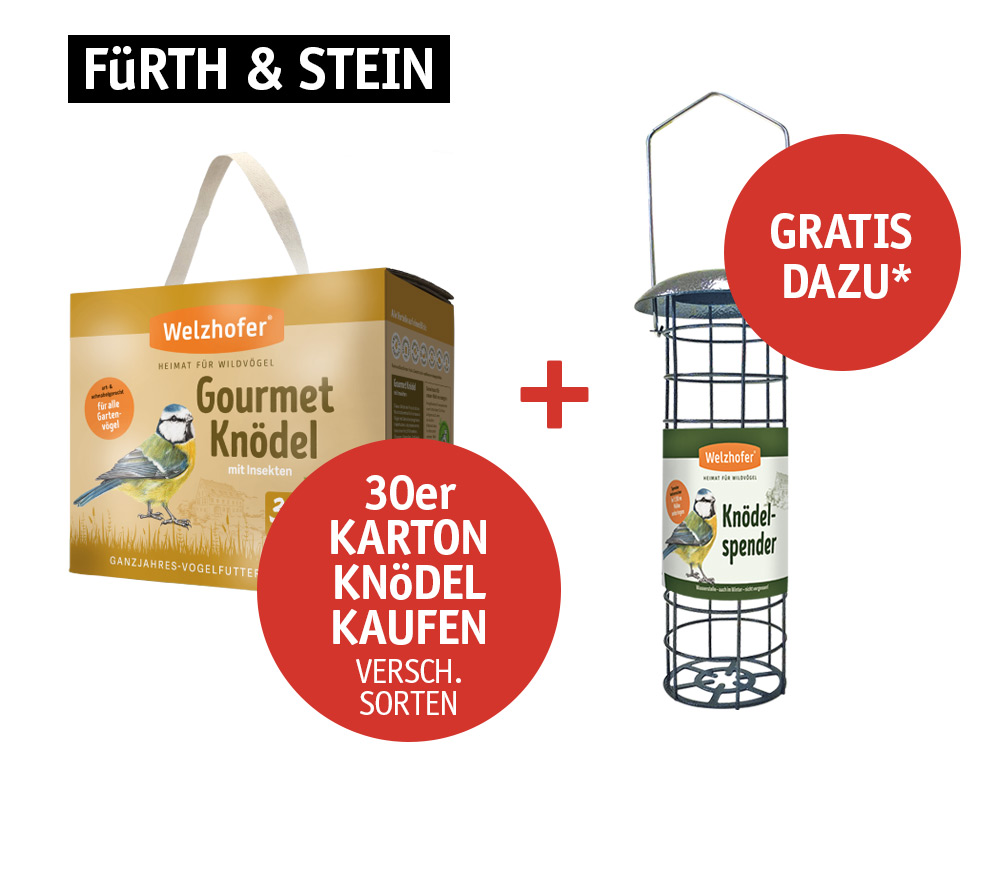 Knoedelspender_Fuerth+Stein.jpg Knoedelspender_Fuerth+Stein.jpg