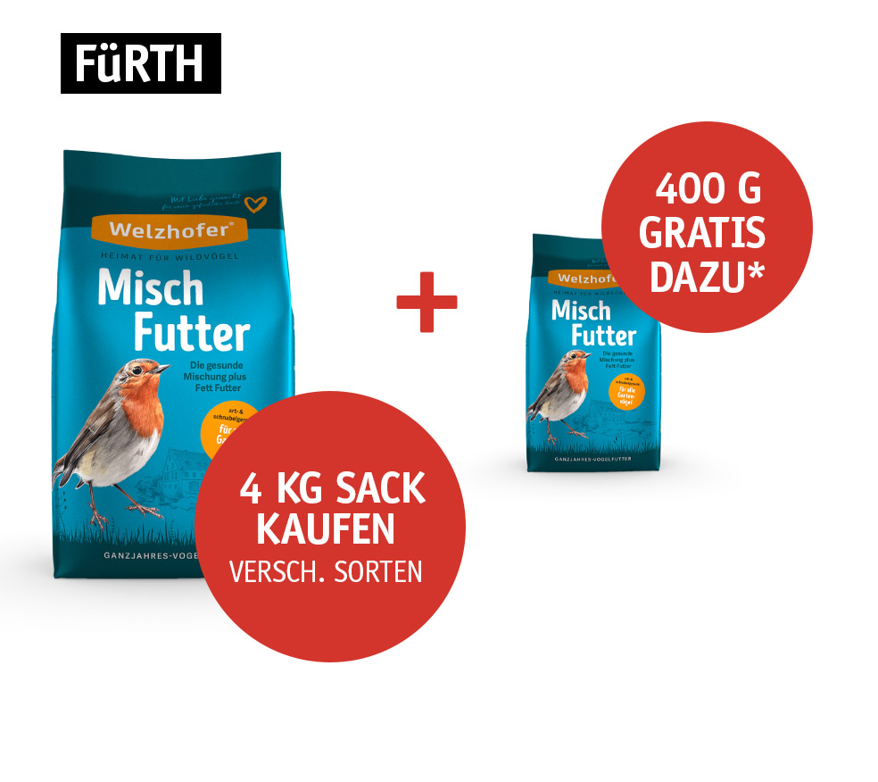 400g-Aktion_Fuerth.jpg 400g-Aktion_Fuerth.jpg