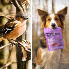 Events_Welzhofer-Beratertag.jpg Events_Welzhofer-Beratertag.jpg