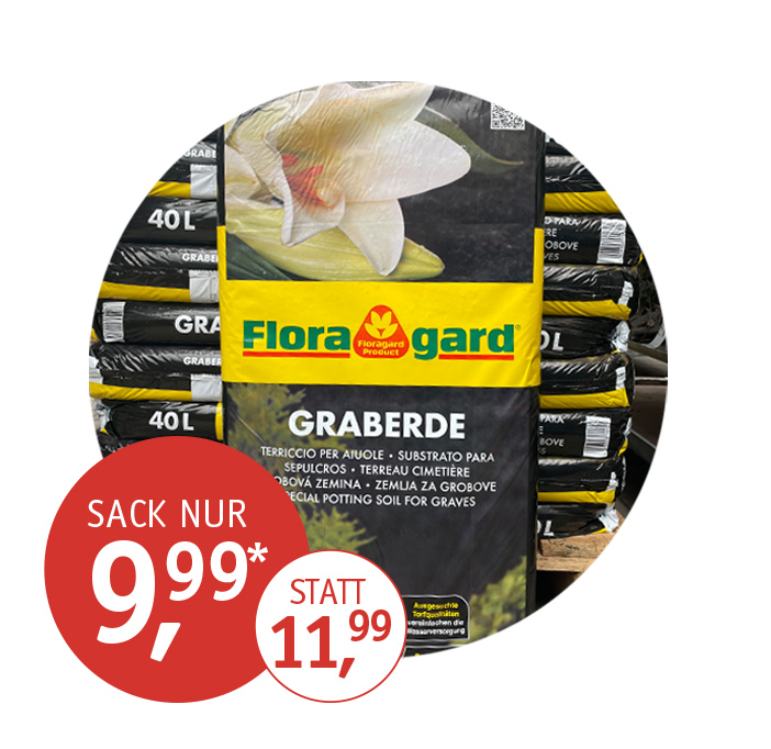 Angebot_KW43-Graberde.jpg Angebot_KW43-Graberde.jpg