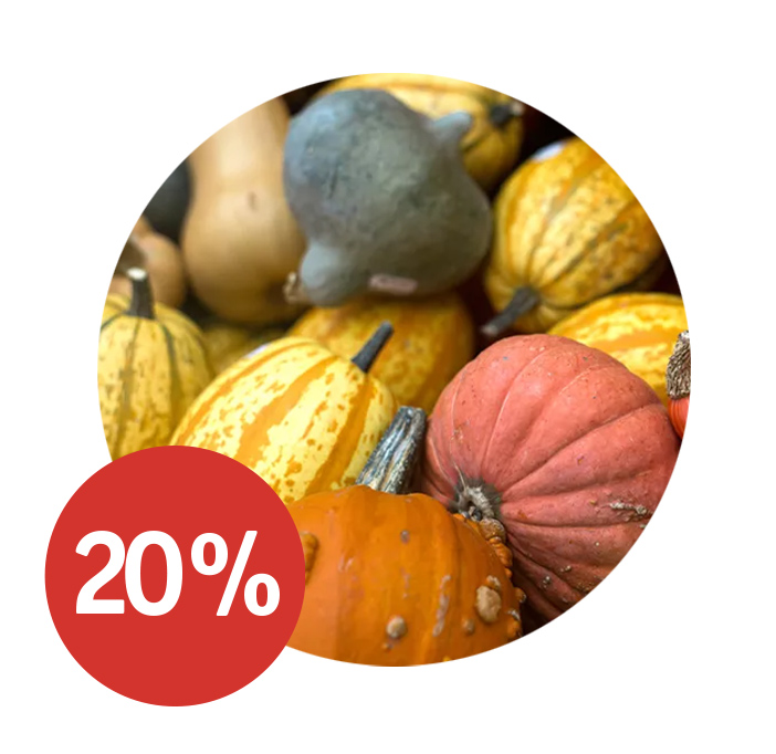 Angebot_KW43-Kuerbisse.jpg Angebot_KW43-Kuerbisse.jpg