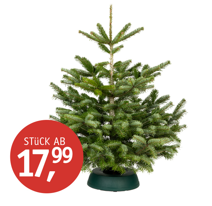 Angebote_KW49_Weihnachtsbaum.jpg Angebote_KW49_Weihnachtsbaum.jpg