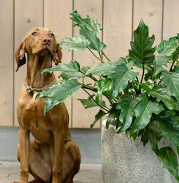 Termine_WohnZeit.jpg Termine_WohnZeit.jpg