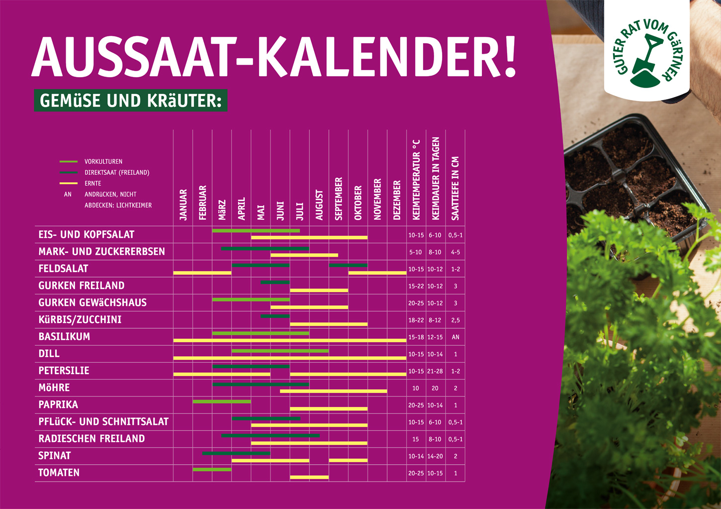 Grafik-Aussaatkalender.jpg
