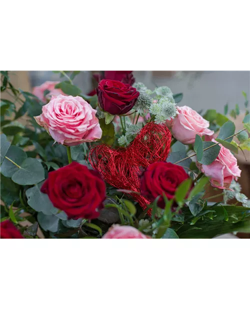 Strauß "Große Gefühle"