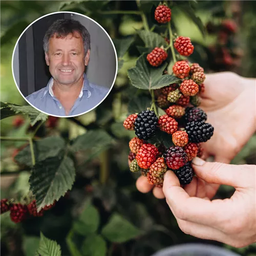 Kostenloser Vortrag "Obst & Beeren"