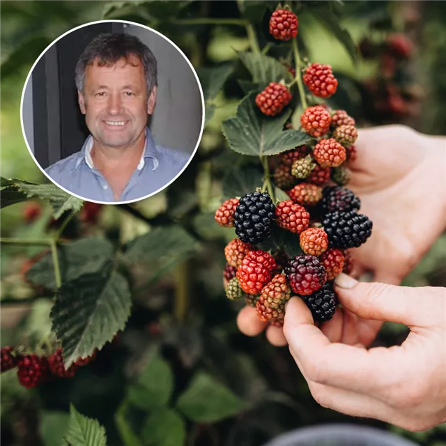 Kostenloser Vortrag "Obst & Beeren"