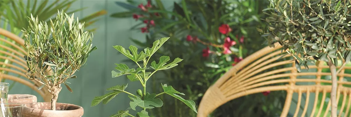 URLAUBSGEFÜHLE ZUHAUSE! 