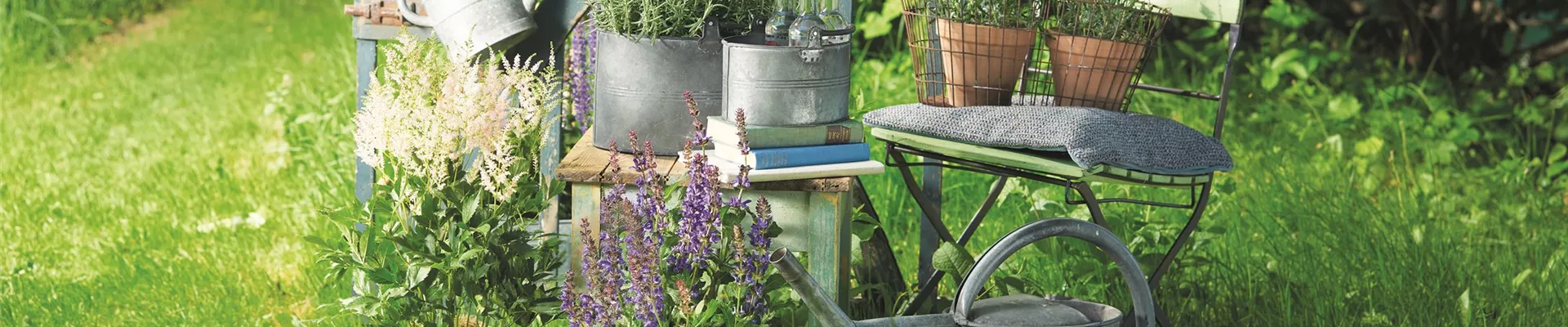 SOMMER IM STAUDENGARTEN!