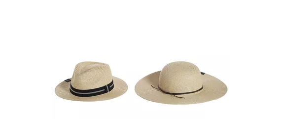 SOMMER IM STAUDENGARTEN!