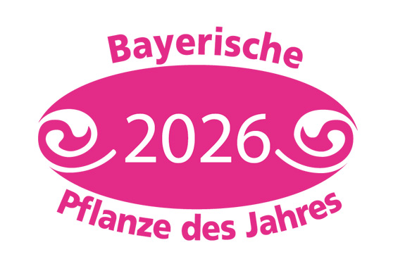 BPdJ2026.jpg
