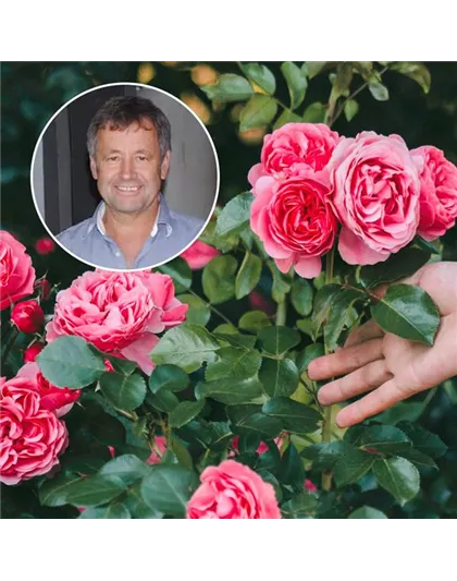 Kostenloser Vortrag: Wellness für die Rose