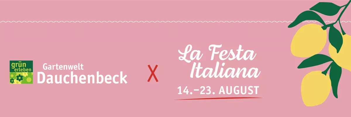 Festa Italiana