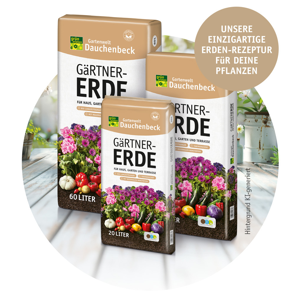 Bild-Mit-Erden-neu.jpg