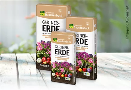 Dauchenbeck’s Gärtnererde
