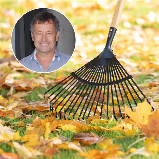 Kostenloser Vortrag: Garten aufräumen war gestern!