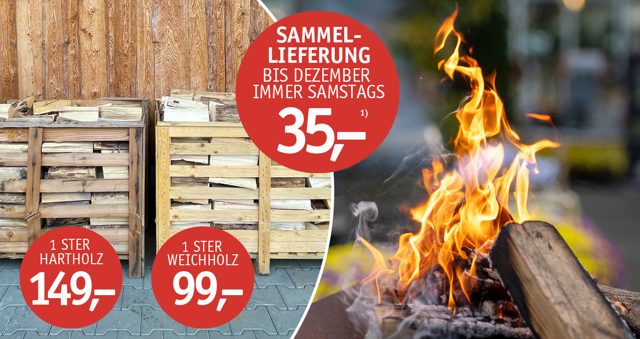 Teaser_Holz.jpg