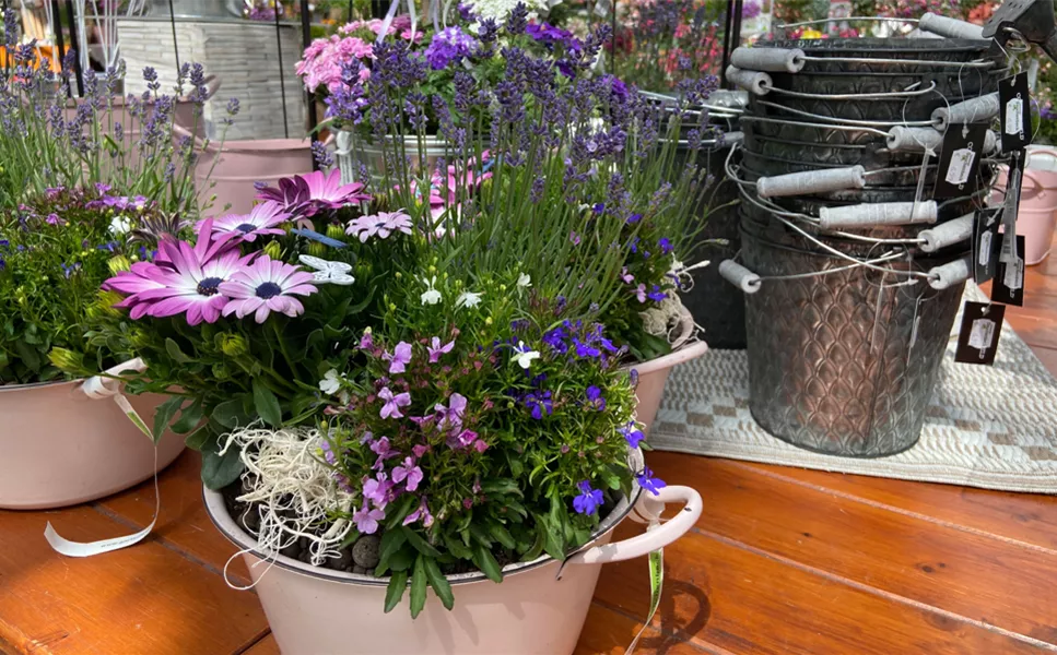 Pflanzservice - Wir pflanzen für Sie ein! Pflanzservice - Wir pflanzen für Sie ein!