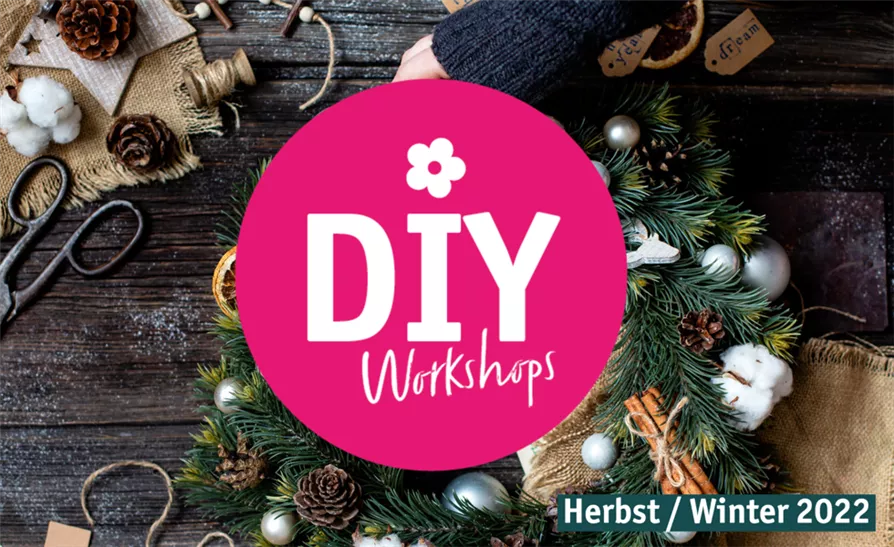 Workshop 22.10.2022 - 14.00 Uhr 